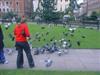 Feeding the pigeons in SOHO Square.