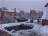 Snowy View