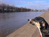 A sunny afternoon by the river