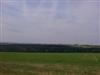 Doggie in woods and a view towards Derbyshire