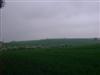 A nice walk in the countryside