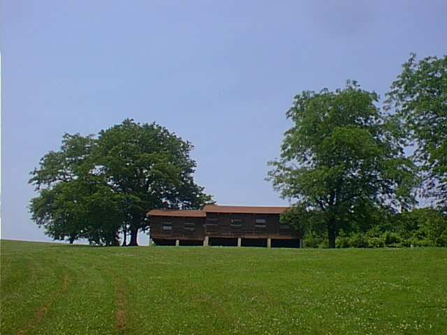 Takonda, The cabin I am staying in this week.