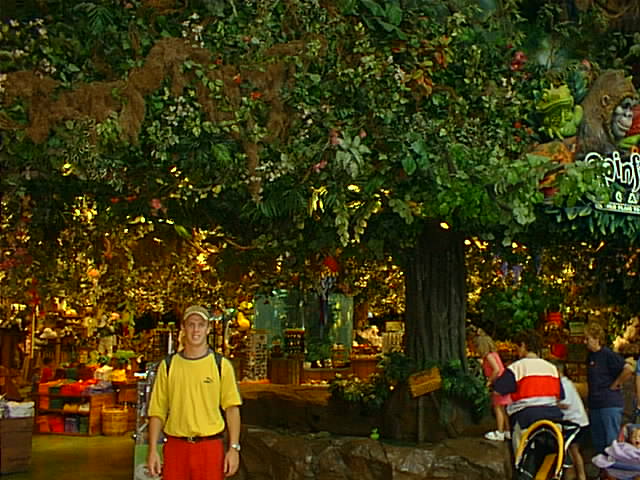Tim, at the Rainforest Cafe