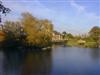 Some pretty pictures from Falmer