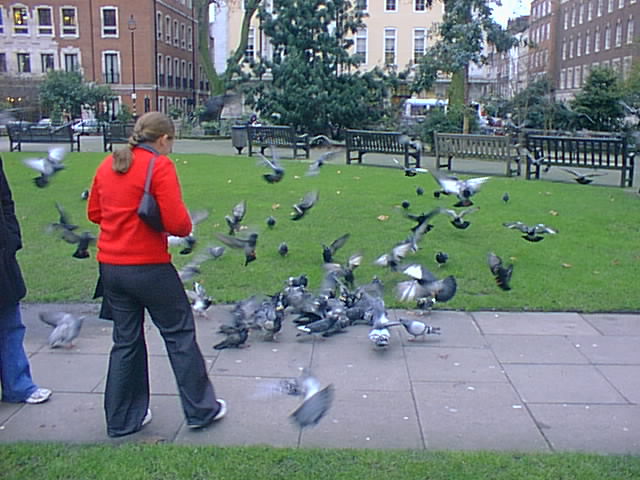 Feeding the pigeons in SOHO Square.