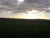 Falmer Hill